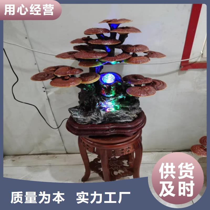 屯昌县灵芝菌种择优