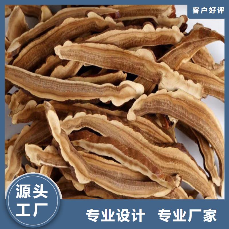 灵芝切片源头好货