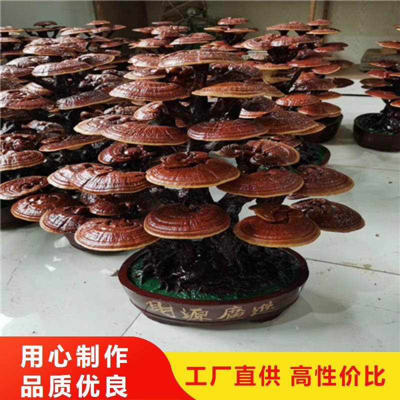 灵芝粉自产自销