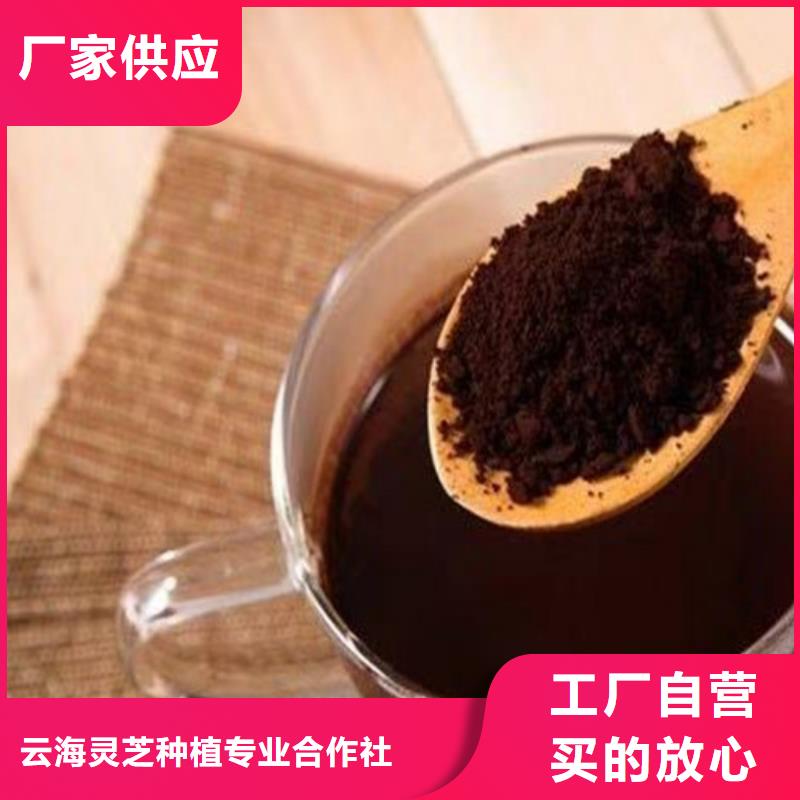 灵芝菌种厂家供应