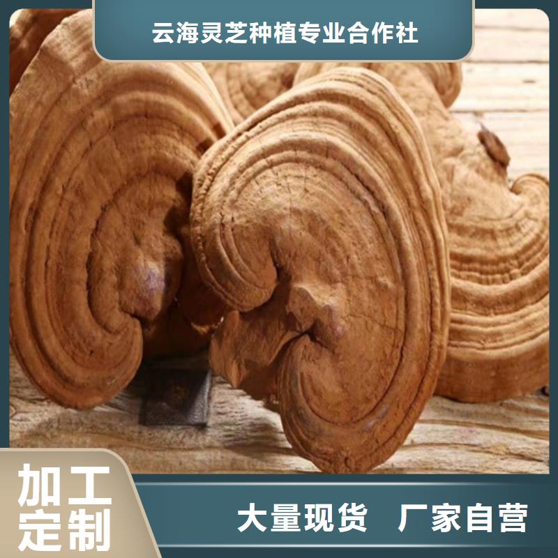 破壁灵芝孢子粉怎么吃好吃