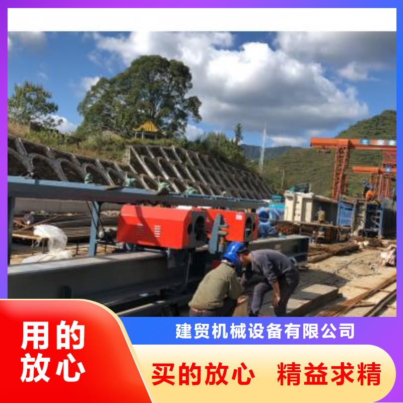 弯曲中心钢筋笼盘丝机专业的生产厂家