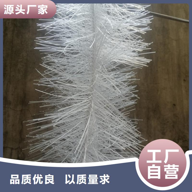 弹性填料10年经验