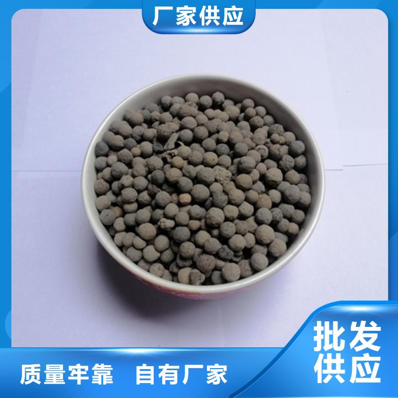 【陶粒】_蜂窝活性炭支持定制