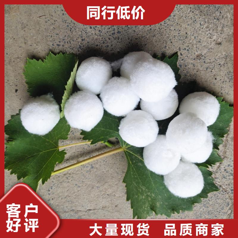 纤维球来样定制