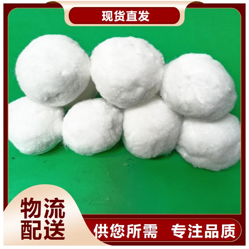 纤维球椰壳粉末活性炭发货及时