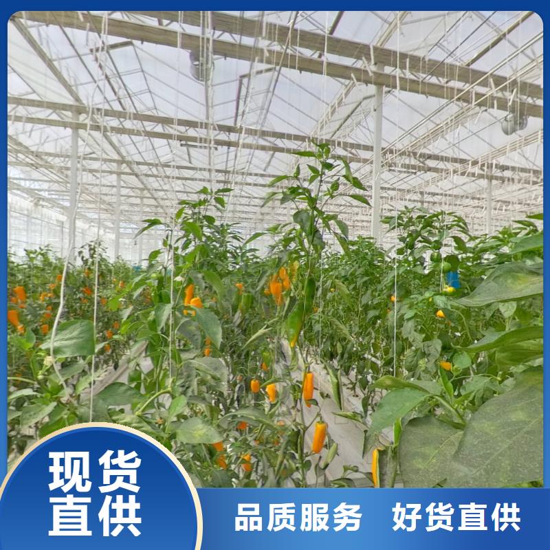 6分大棚骨架机价格优惠