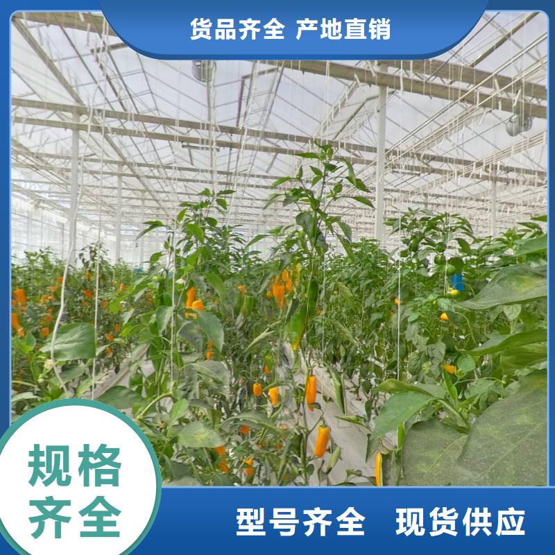 迁安市养鹅大棚骨架机实时报价、