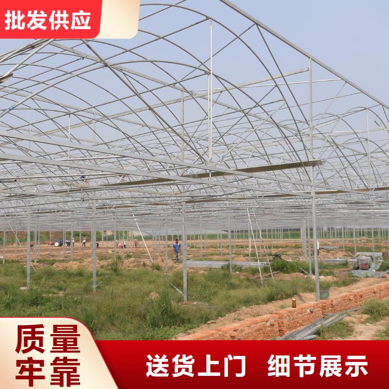 东平县树苗大棚管介绍详细参数、