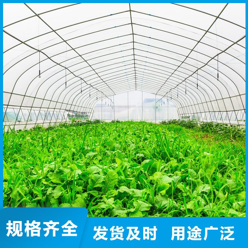 临猗火龙果大棚骨架价格