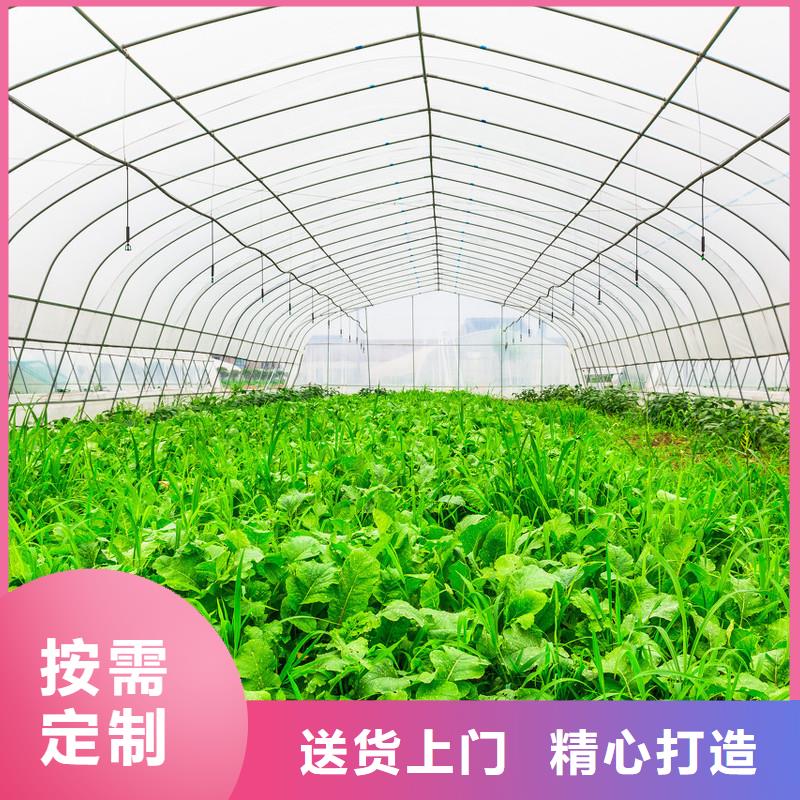 津果树骨架钢管厂家