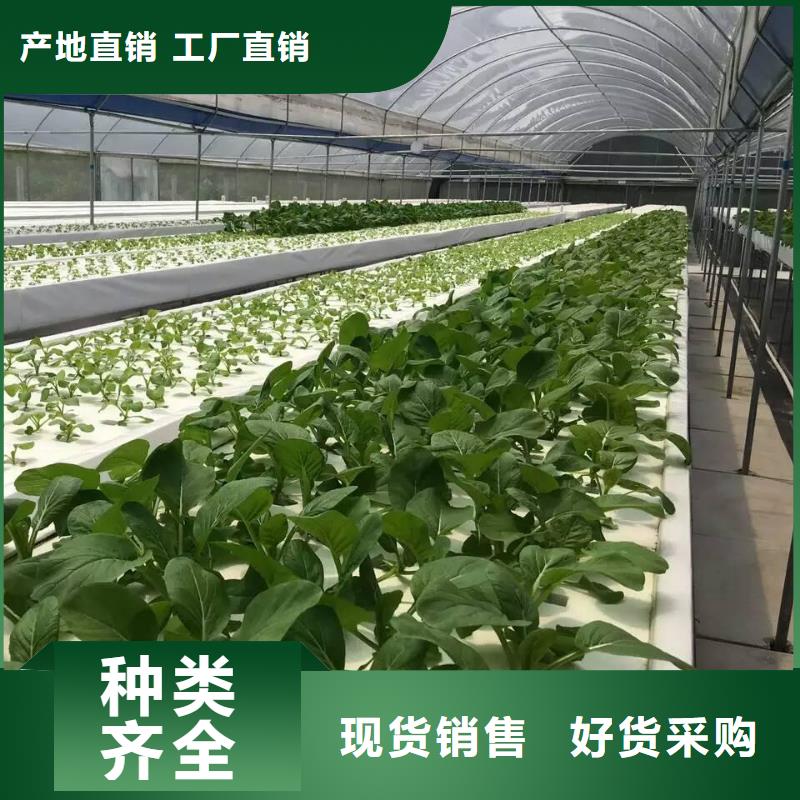 连栋塑料薄膜大棚钢管工艺精湛,