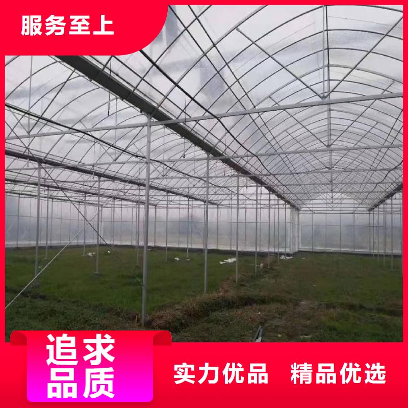 泉港区绿色植物大棚管价格[厂销价优]