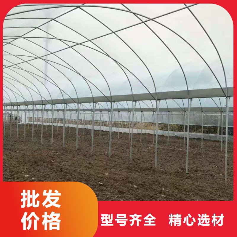 资兴市圆拱型大棚管现货具有镀层均匀,
