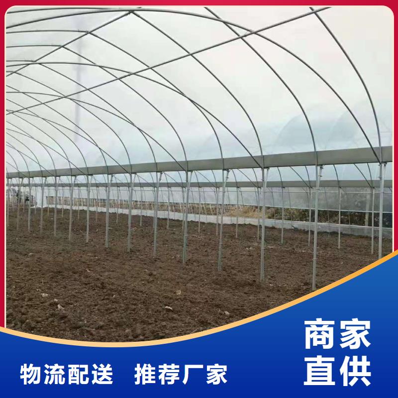 国强大棚管介绍供应信息,