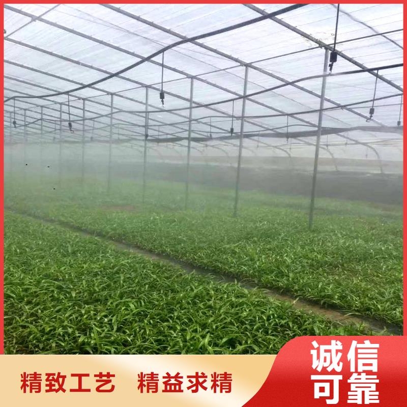 4分大棚管批发