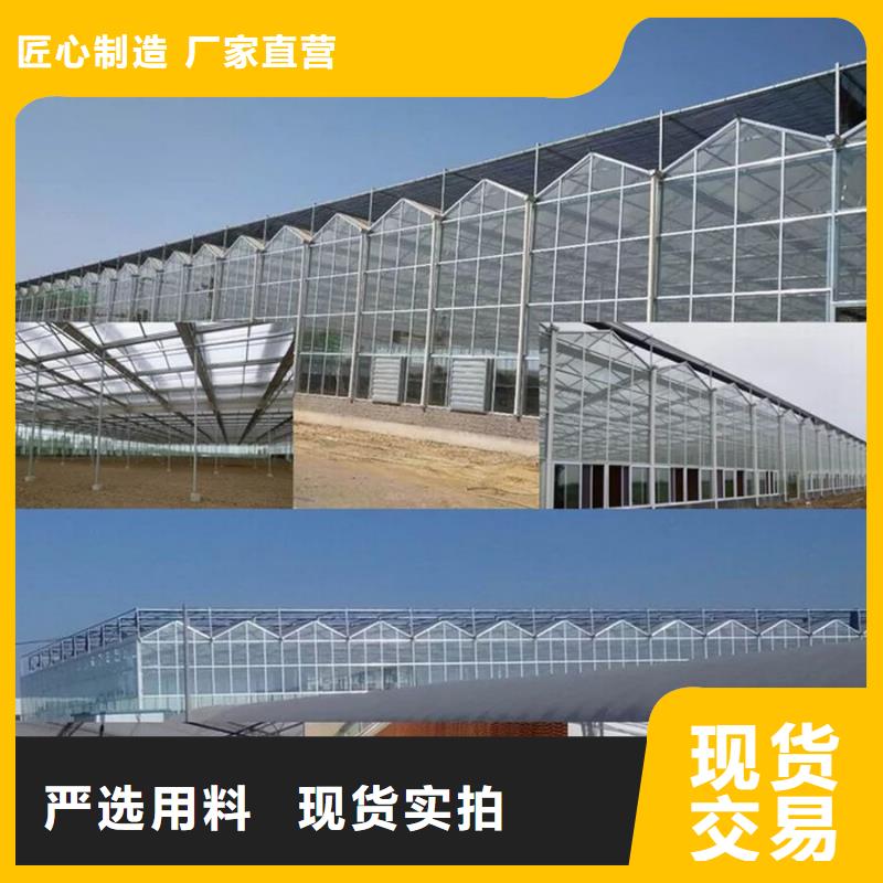 禹城市绿色植物大棚管价格实时报价、
