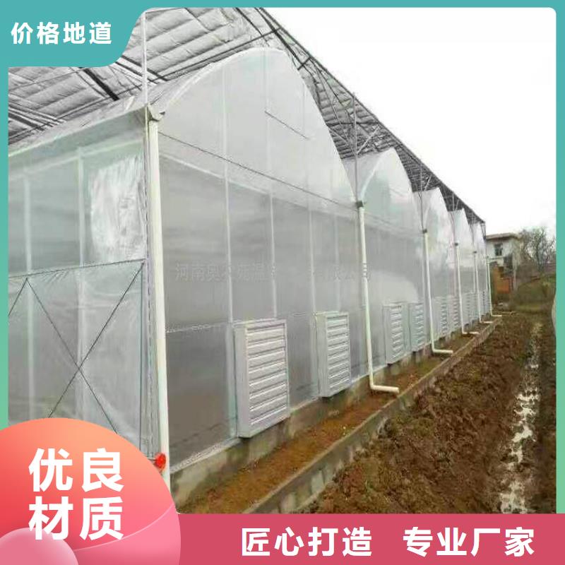 泉港区绿色植物大棚管价格[厂销价优]