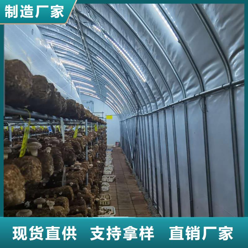 楼区连栋塑料薄膜大棚钢管具有镀层均匀,