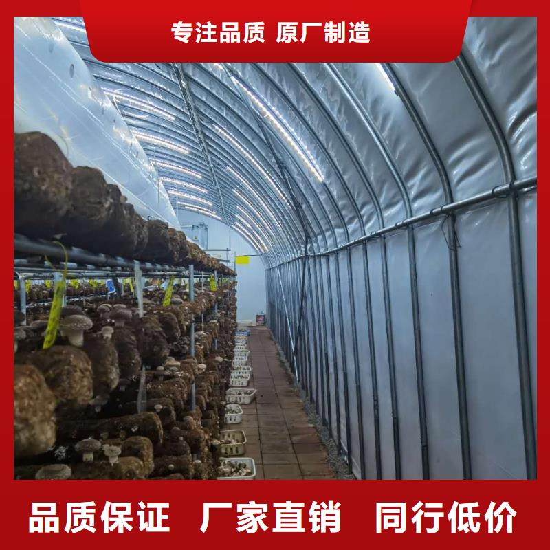 三山区825型大棚管价格工艺精湛,
