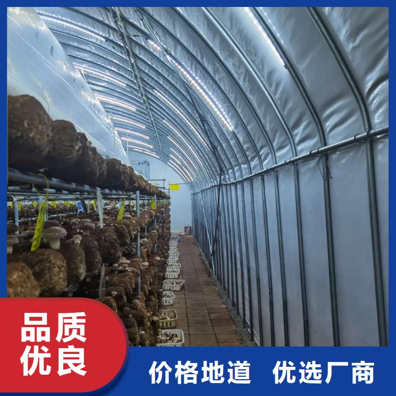 召陵大跨度大棚钢管生产周期快