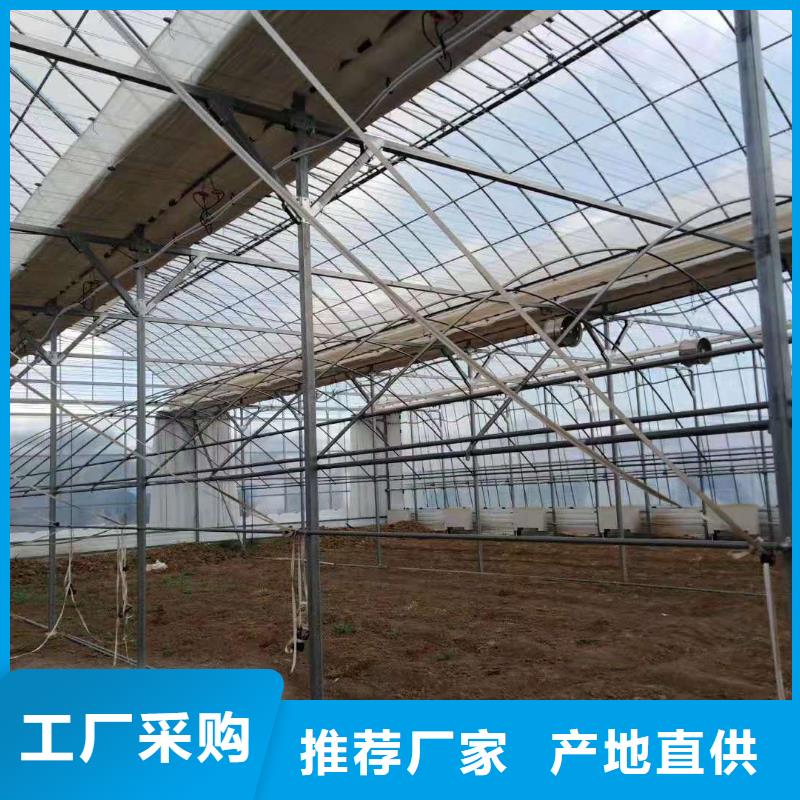 津果树骨架钢管厂家