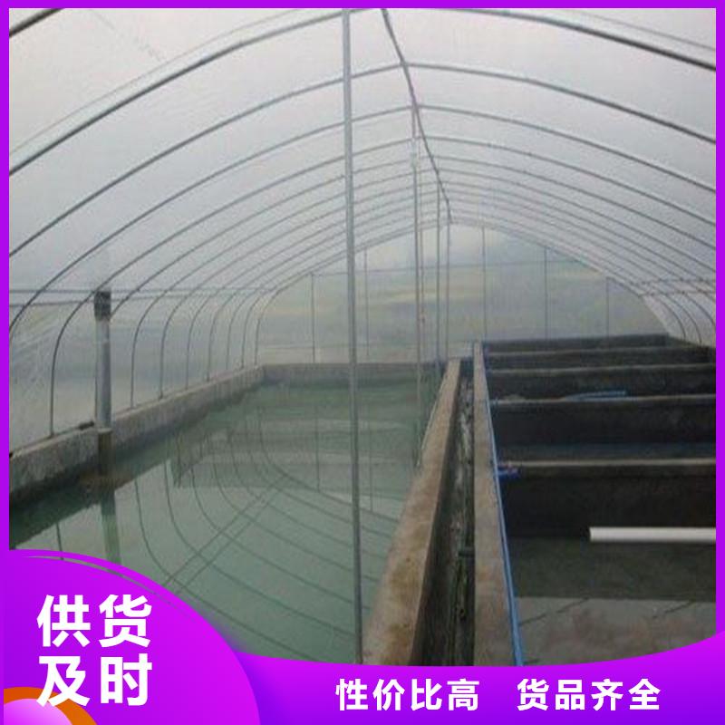 楼区养鸡大棚管热销型号齐全,欢迎新老顾客.