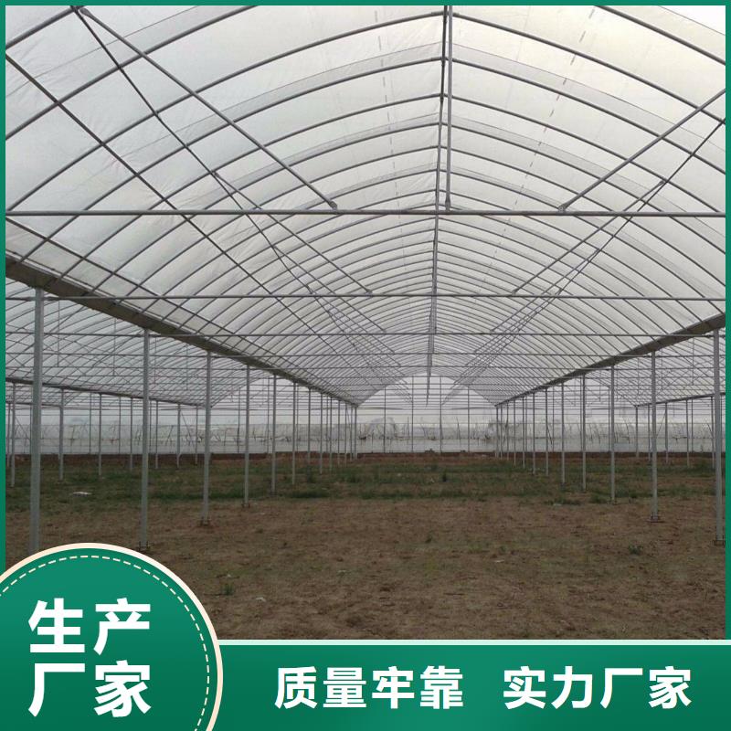 津市高品质大棚管折弯商品批发/