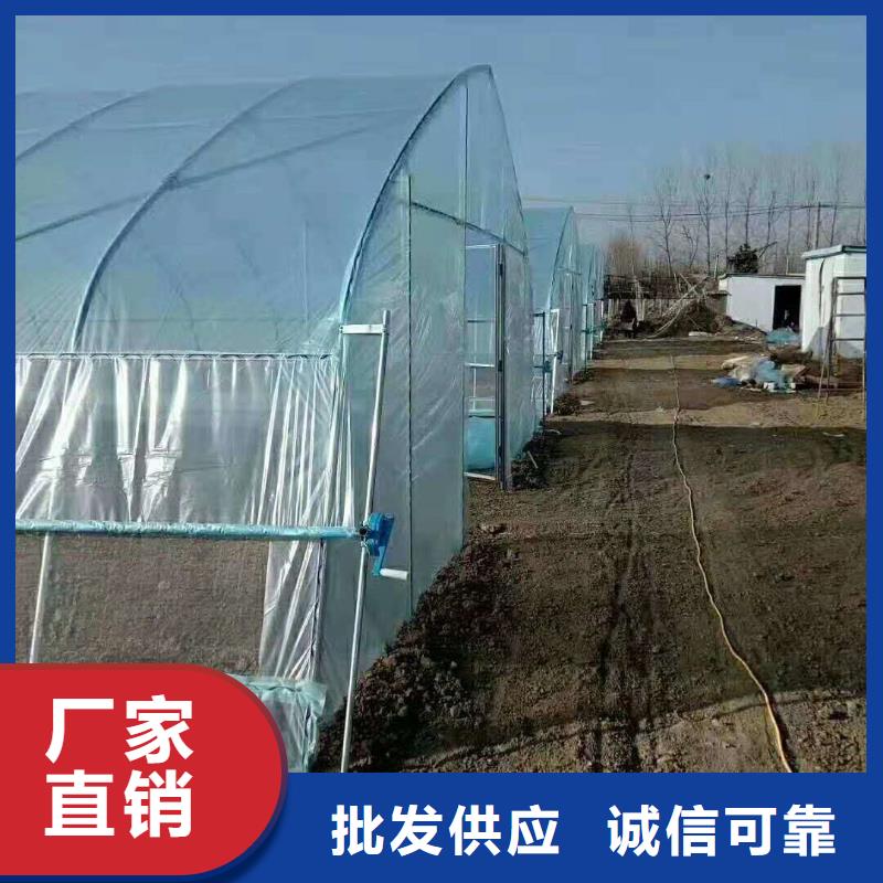 商南县镀锌大棚管配件现货供应,