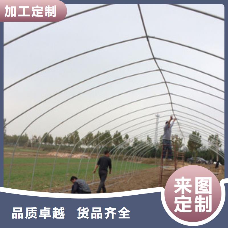 连栋塑料薄膜大棚钢管工艺精湛,