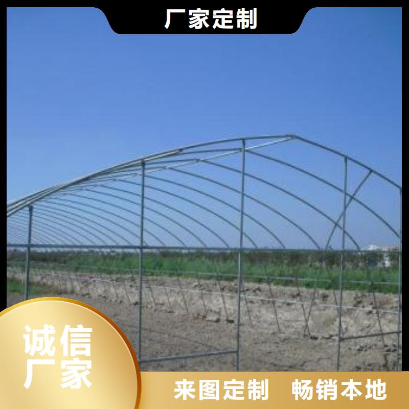 黄瓜大棚钢管使用寿命长等优点。