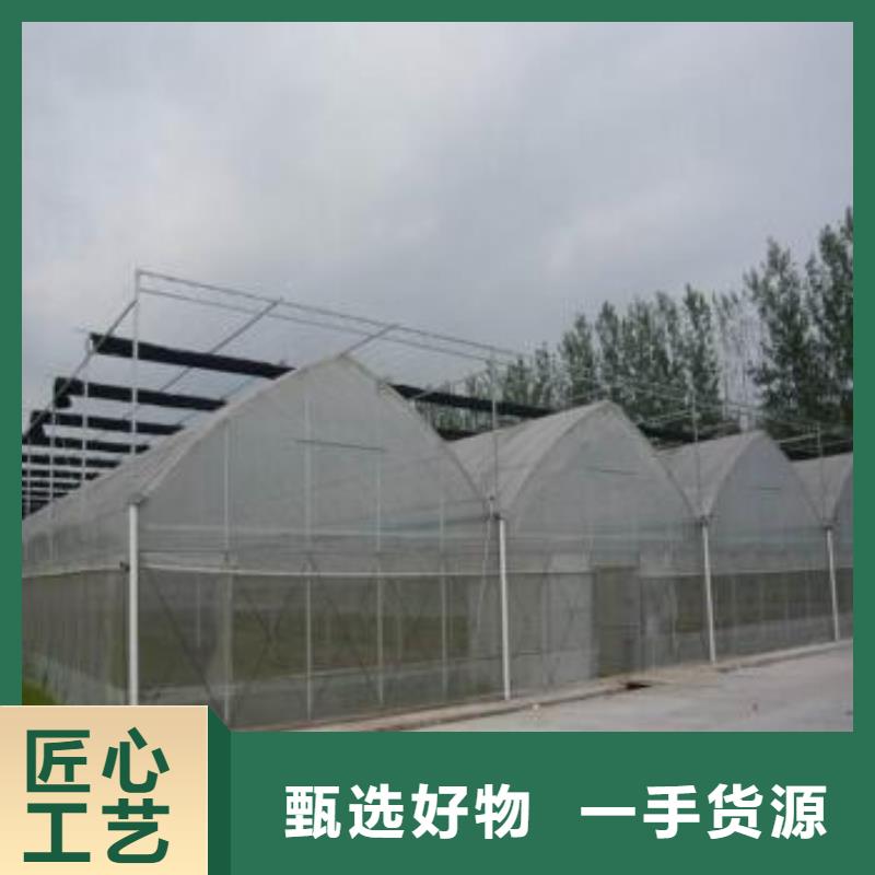 津果树骨架钢管厂家
