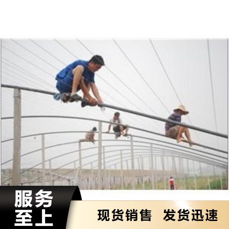 富顺县镀锌大棚管配件附着力强,