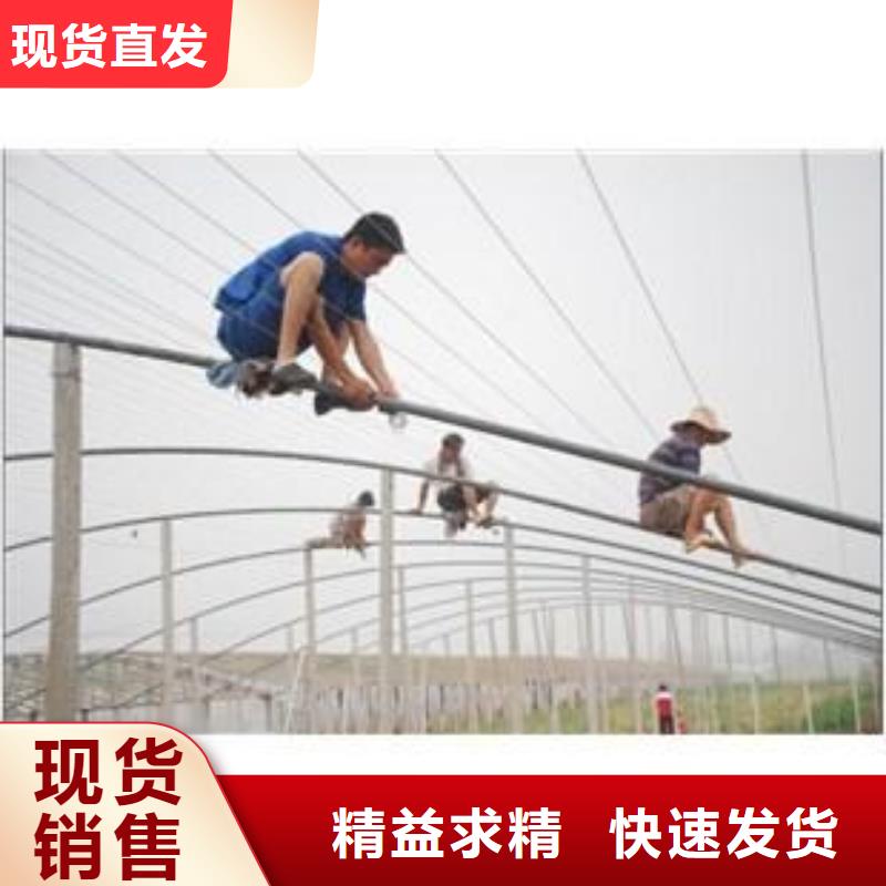 大棚管可定制有保障