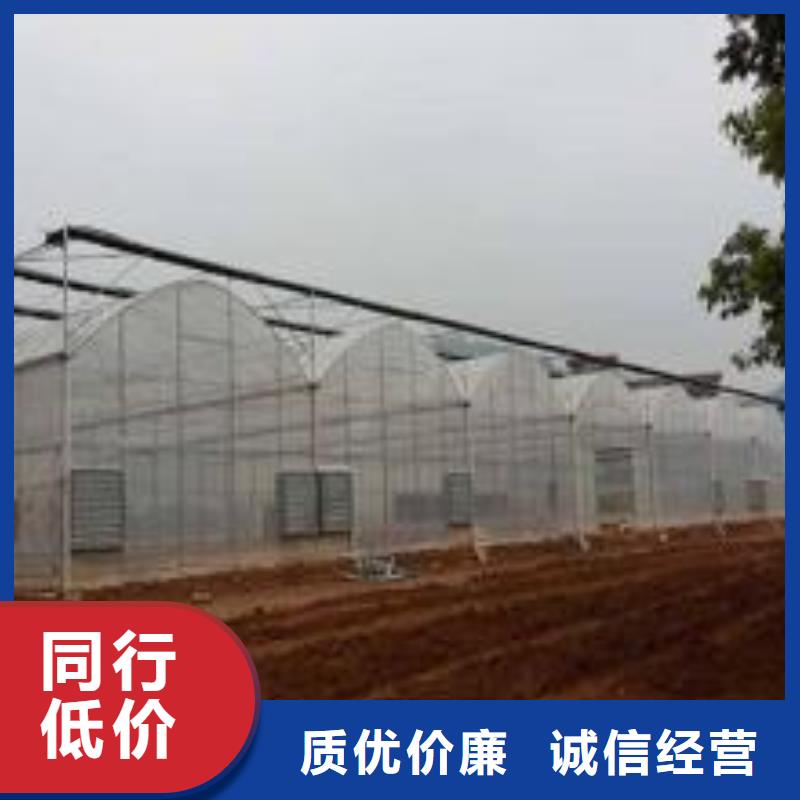 颍泉区q195材质大棚骨架工艺精湛,