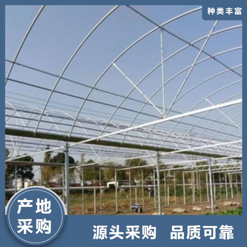 黄浦区q195材质大棚骨架[厂销价优]