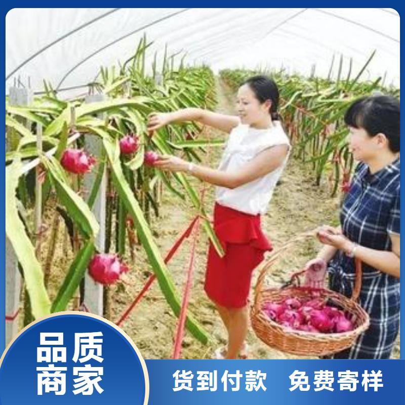 伊川县q195材质大棚骨架型号齐全,欢迎新老顾客.