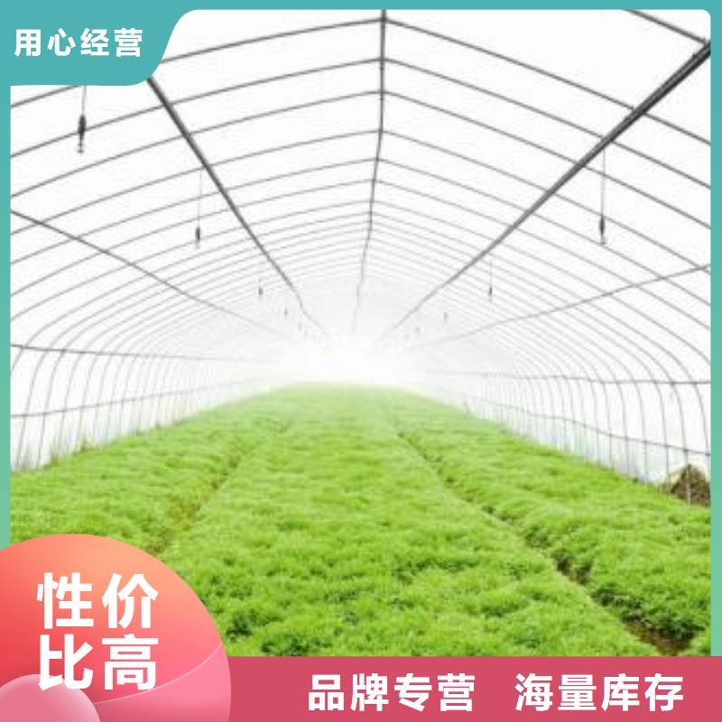 武陵区镀锌大棚管配件工艺精湛,