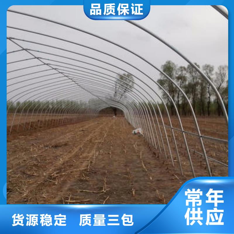 津果树骨架钢管厂家