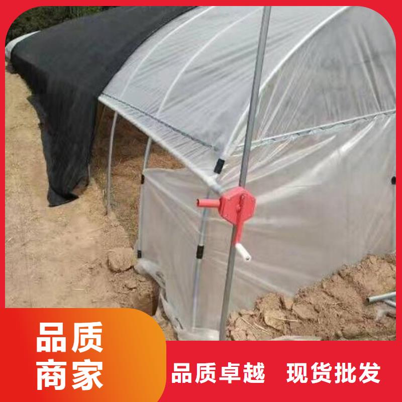 伊川县q195材质大棚骨架型号齐全,欢迎新老顾客.