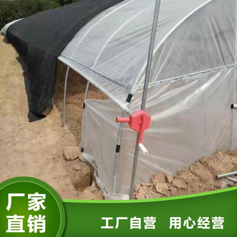 偃师市果树大棚管介绍行情走势、