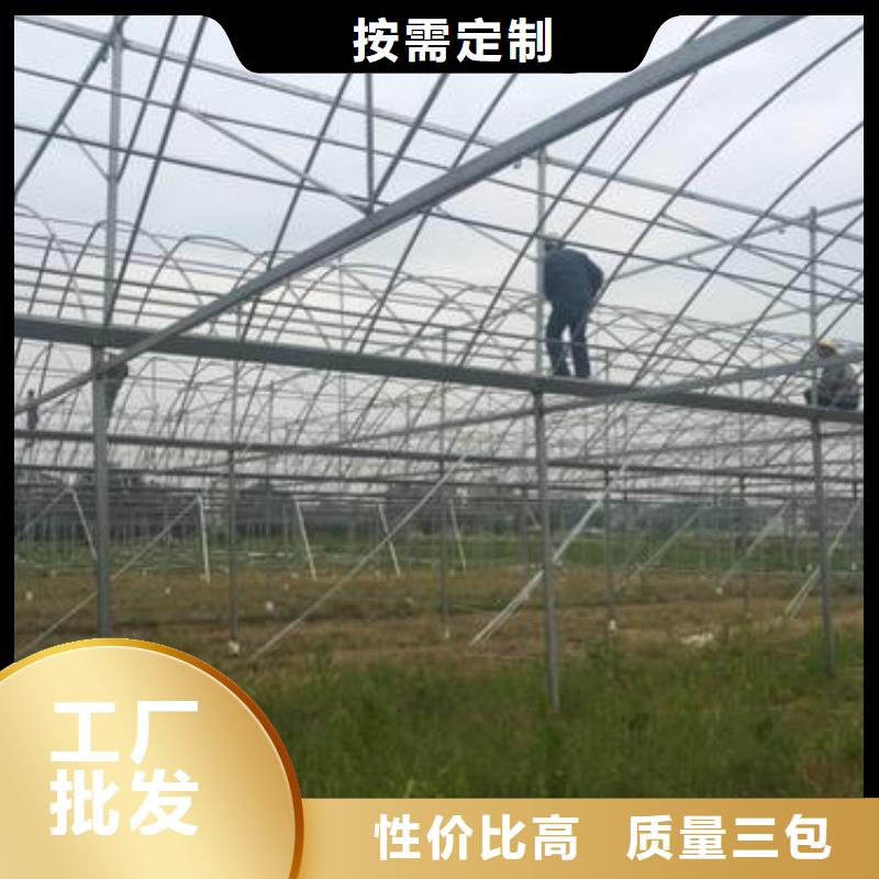 平江县简易大棚管折弯实时报价、