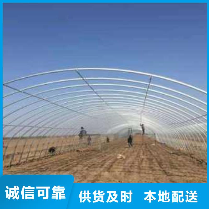 建水县连栋大棚管现货表面光滑
