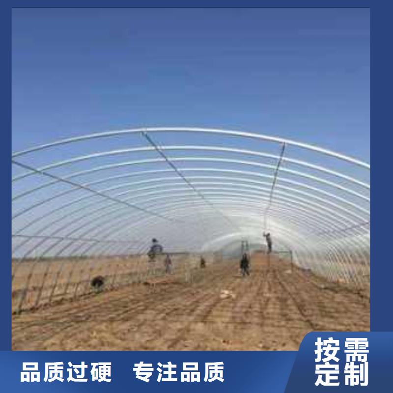 楼区养鸡大棚管热销型号齐全,欢迎新老顾客.