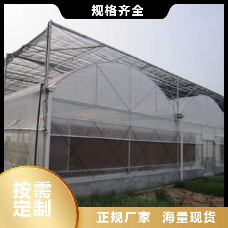 津果树骨架钢管厂家