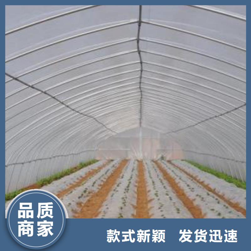 偃师市果树大棚管介绍行情走势、