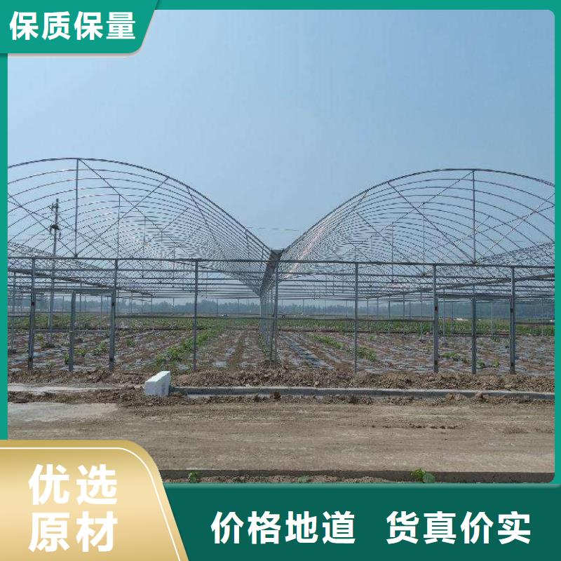 津果树骨架钢管厂家