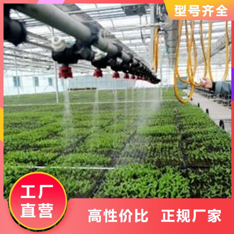 津果树骨架钢管厂家