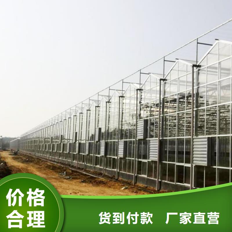 津果树骨架钢管厂家