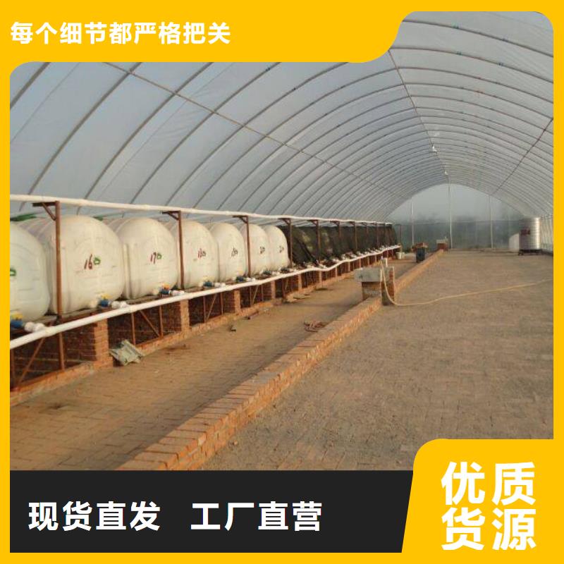 津果树骨架钢管厂家